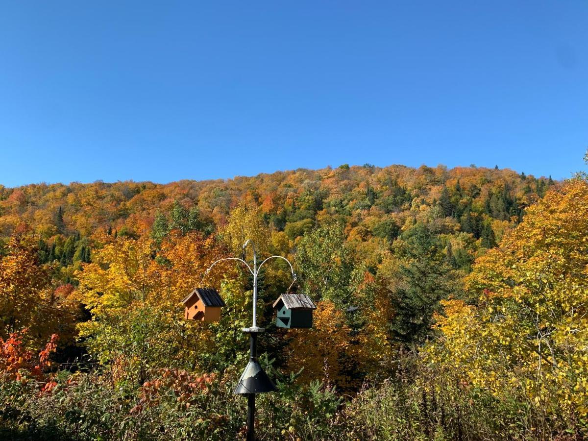 Lodge Nature Laurentides Val-des-Lacs Exterior foto